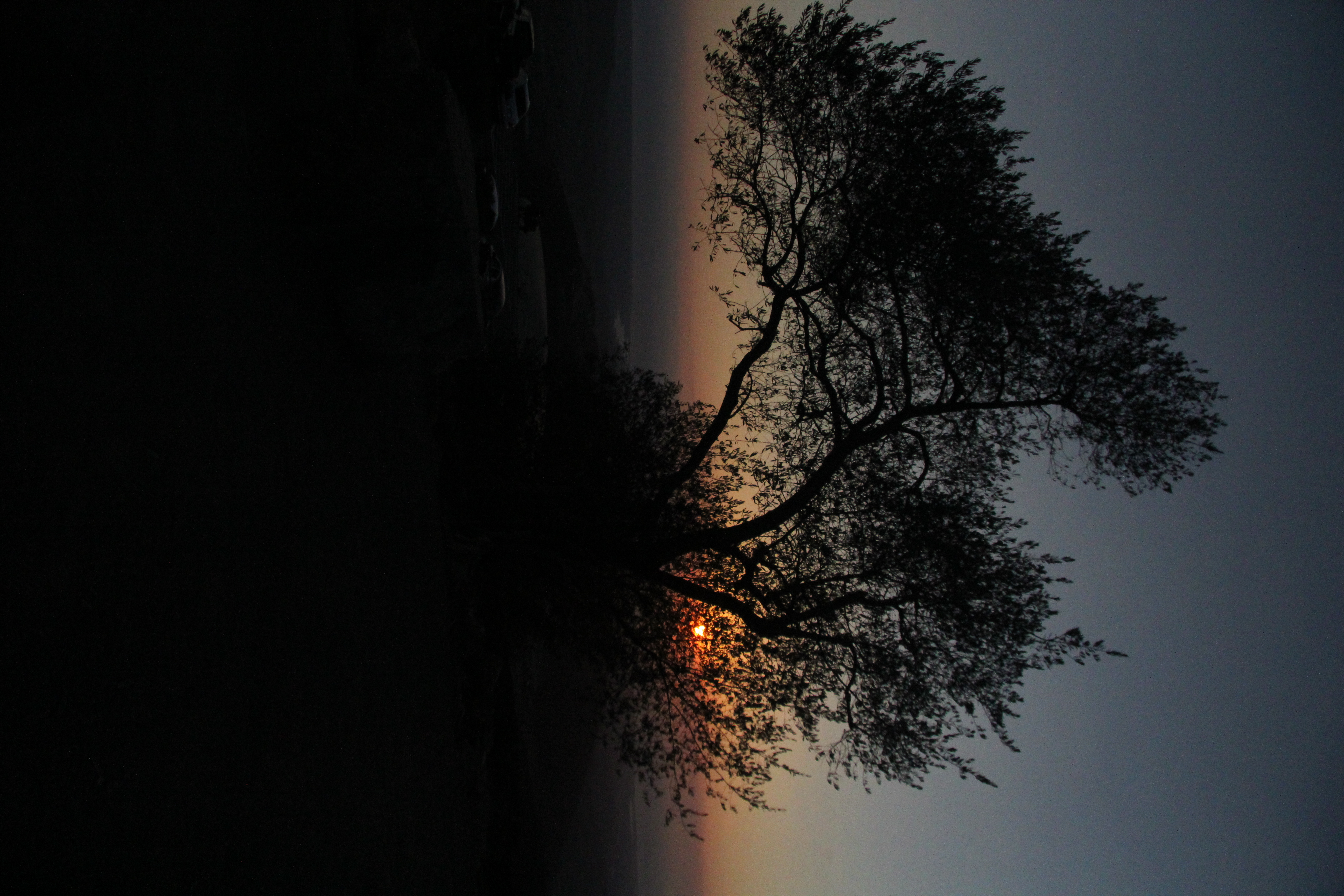 Scenic view from Double Peak in San Elijo